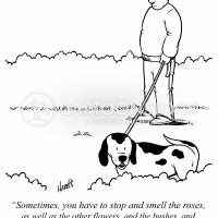 panty sniffer comics photos