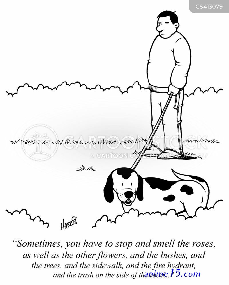 panty sniffer comics photos