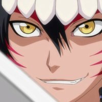 bleach episode 222