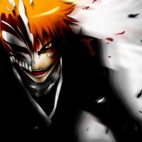 bleach episode 222