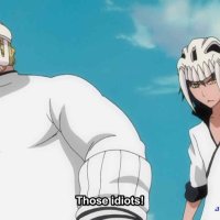 bleach episode 222