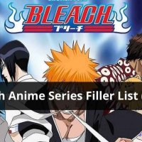 bleach episode 222