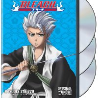 bleach episode 222
