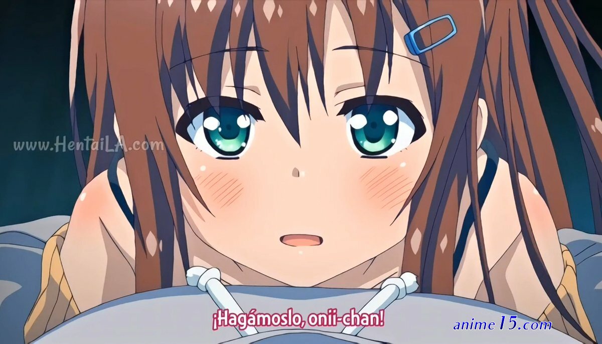 onii-chan asa made zutto gyutte shite