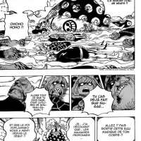 one piece 774 vf st