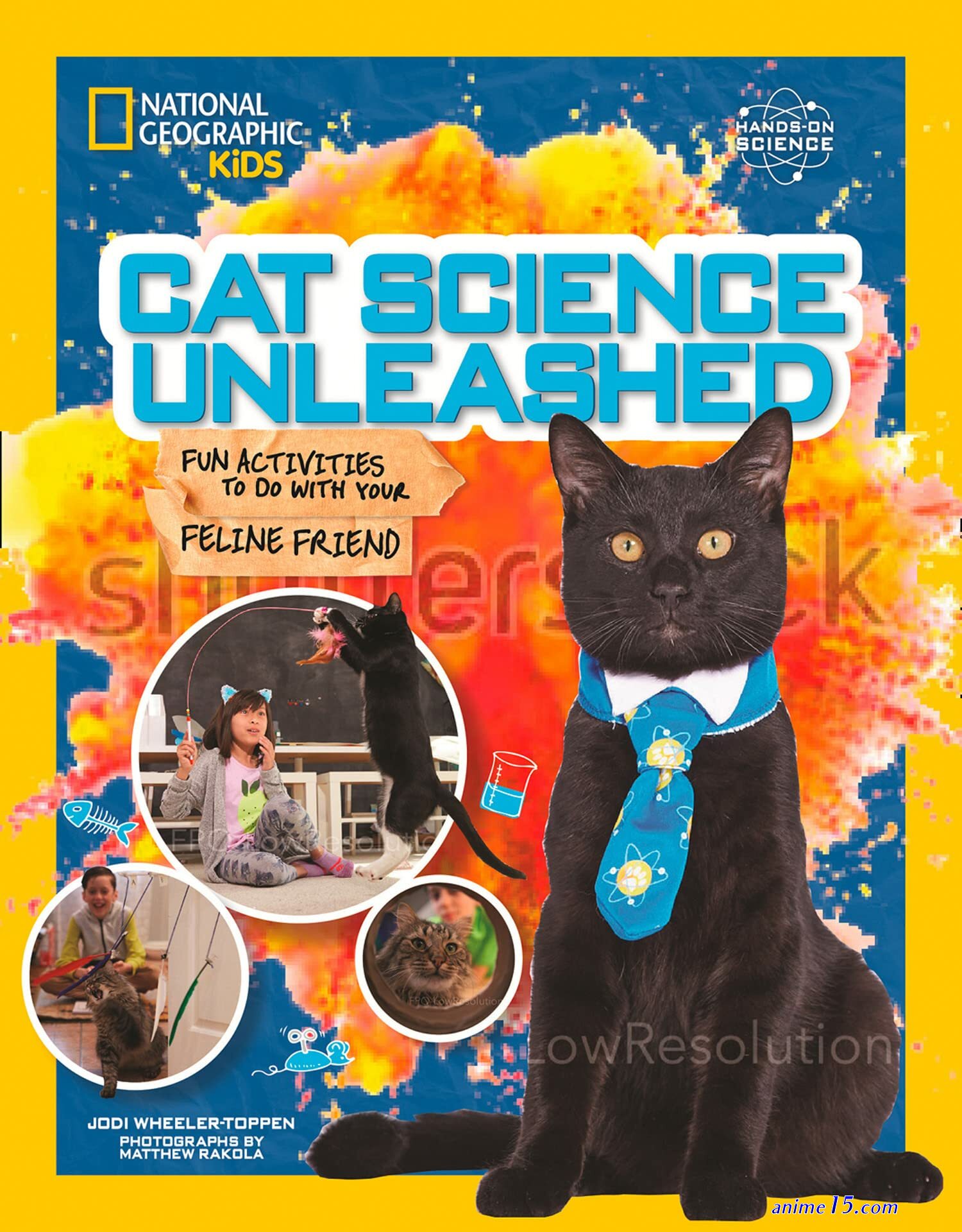k s secret cat