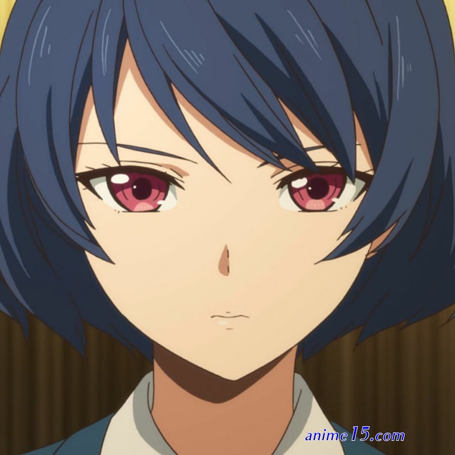 domestic na kanojo animeflv