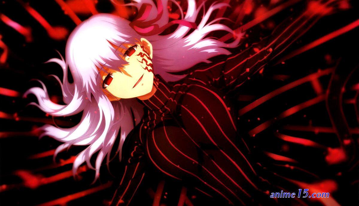 fate stay night animeflv
