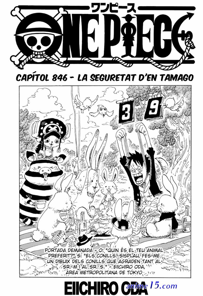 one piece capapitulo 846