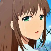 domestic na kanojo animeflv