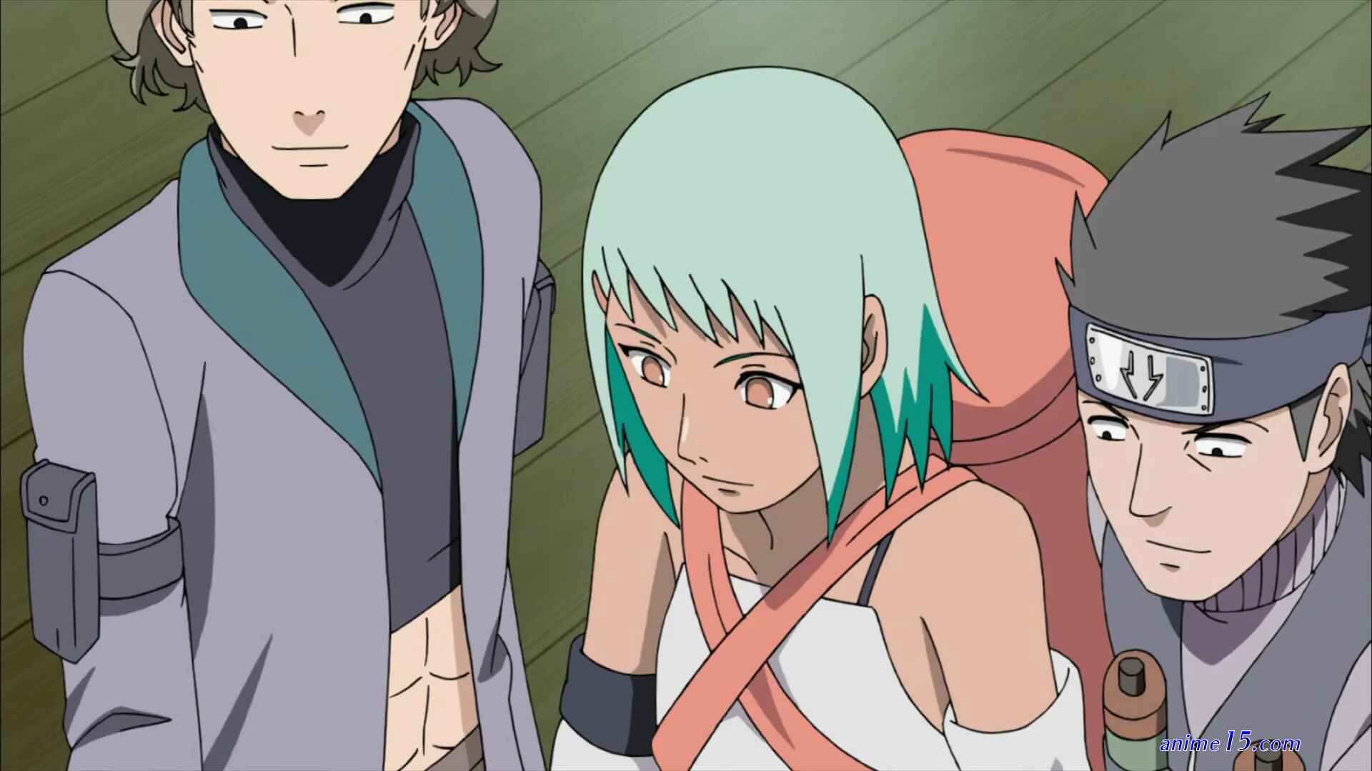 naruto shippuden 396 online sub