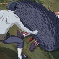 naruto episodio 207