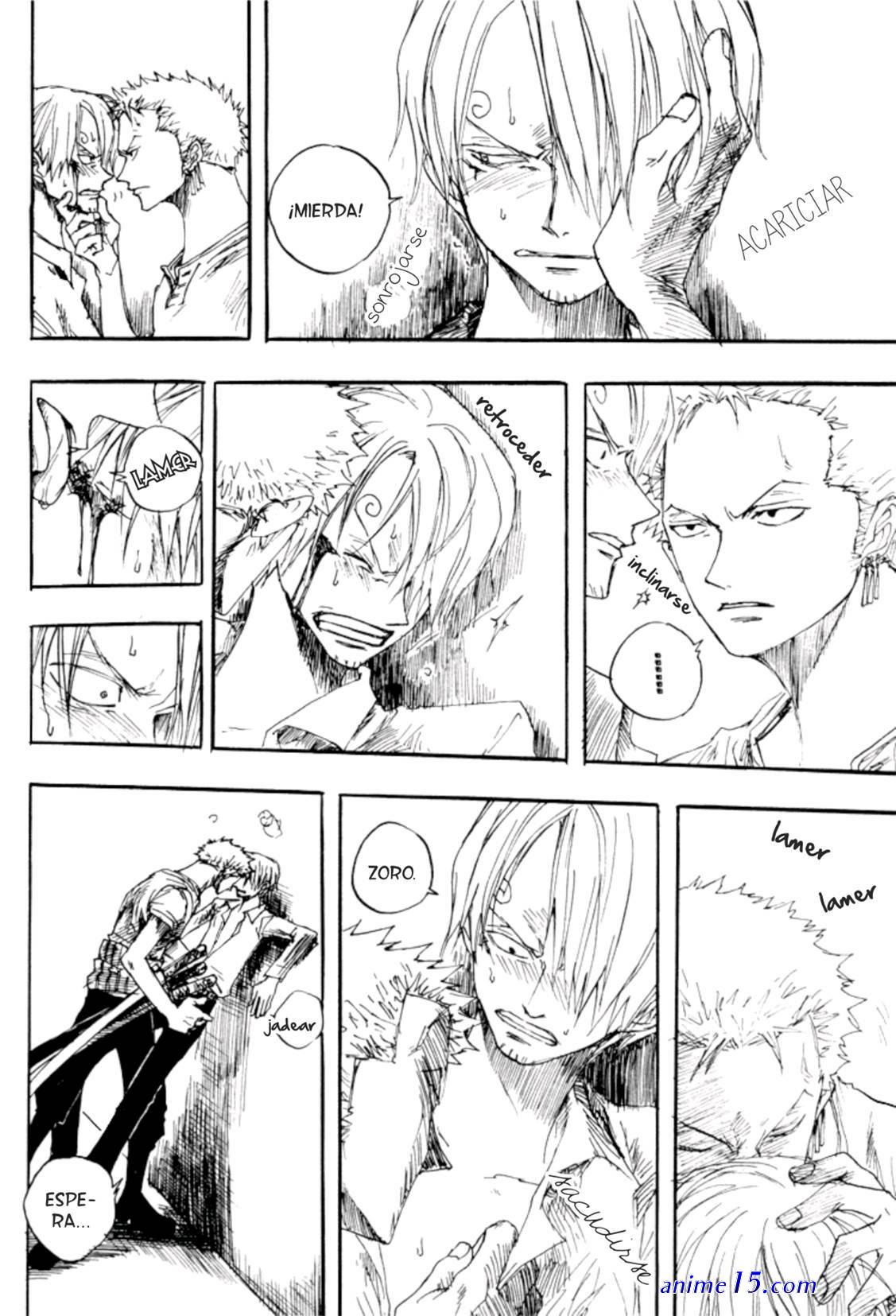 zoro x sanji