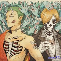 zoro x sanji
