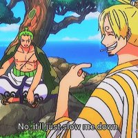 zoro x sanji