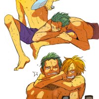 zoro x sanji