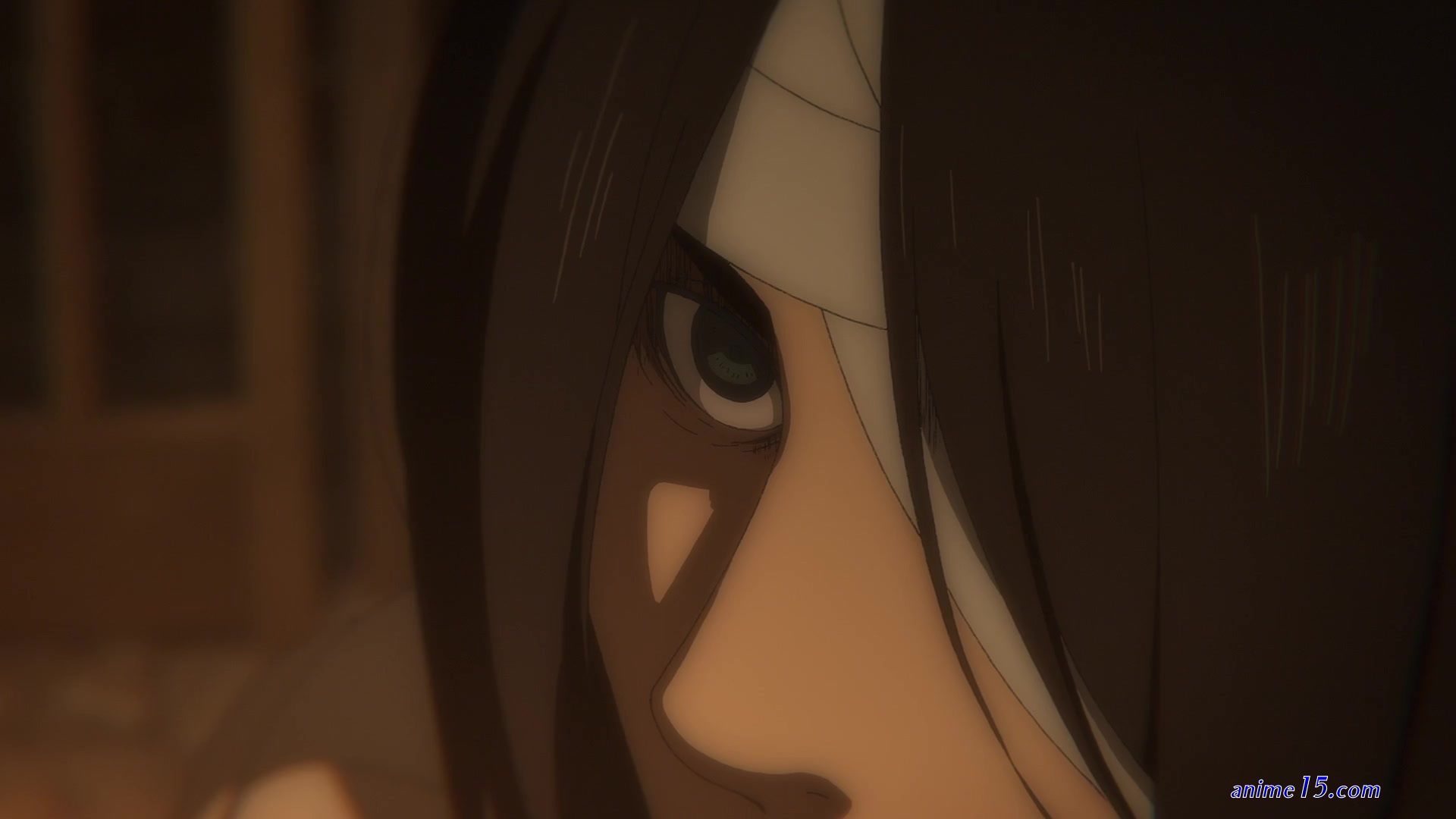 neko sama snk saison finale