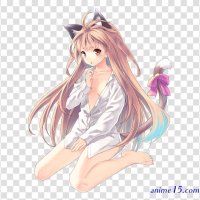 battle girl neko