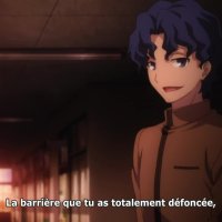 fate stay vostfr