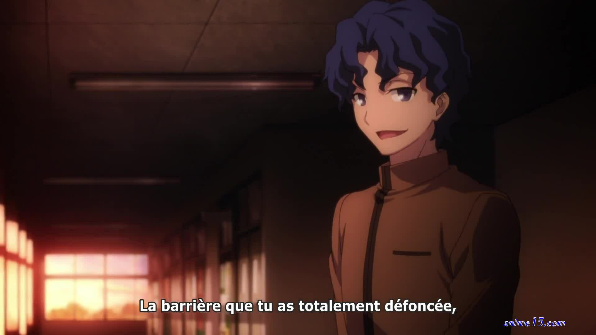 fate stay vostfr