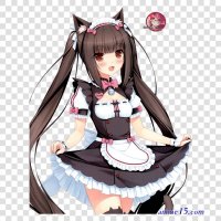 battle girl neko