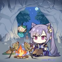 vicineko new