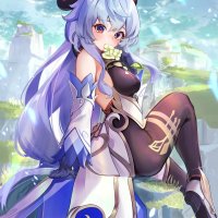 vicineko new