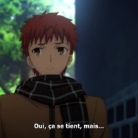 fate stay vostfr