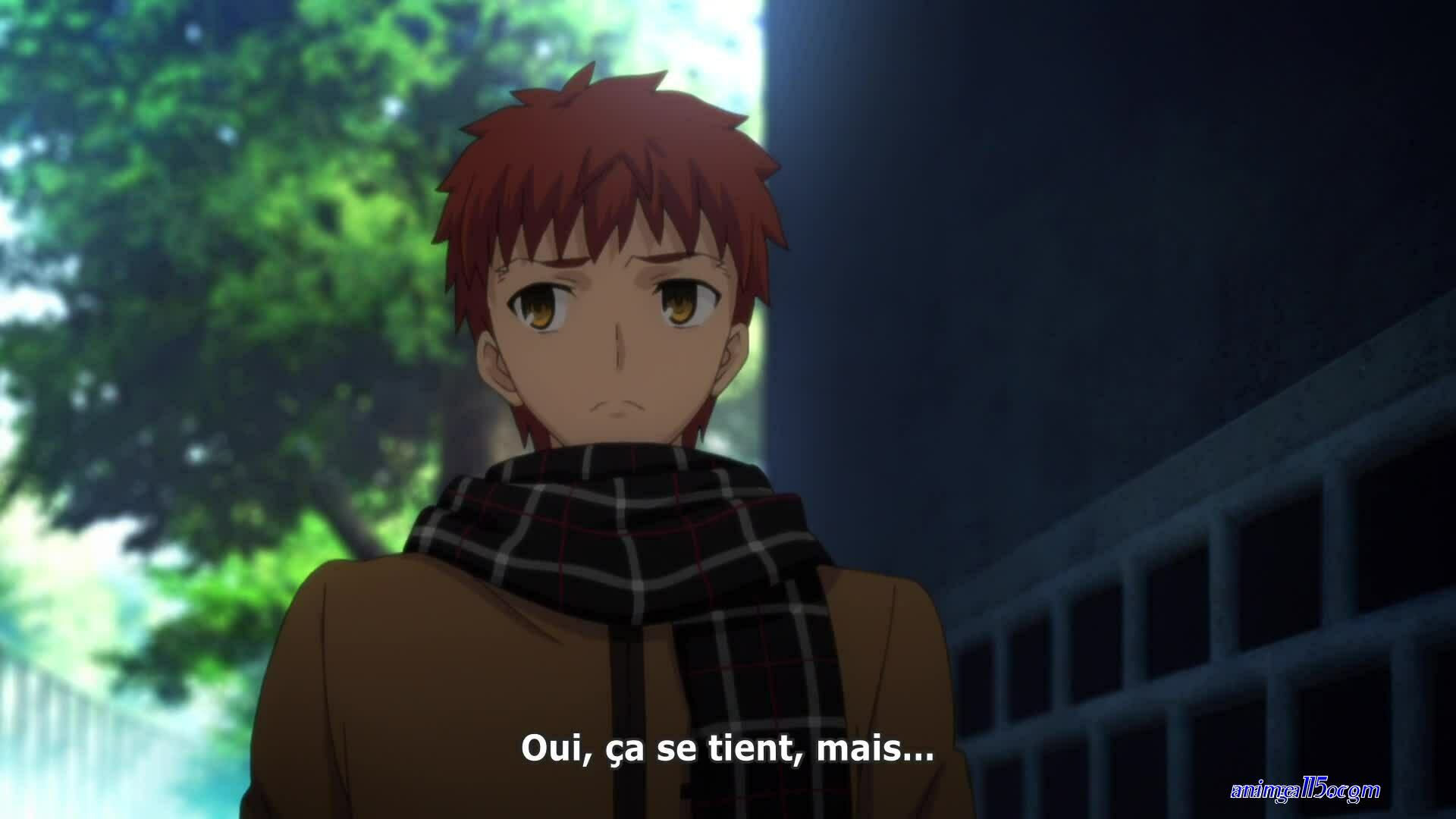fate stay vostfr