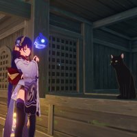 vicineko new
