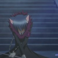 battle girl neko