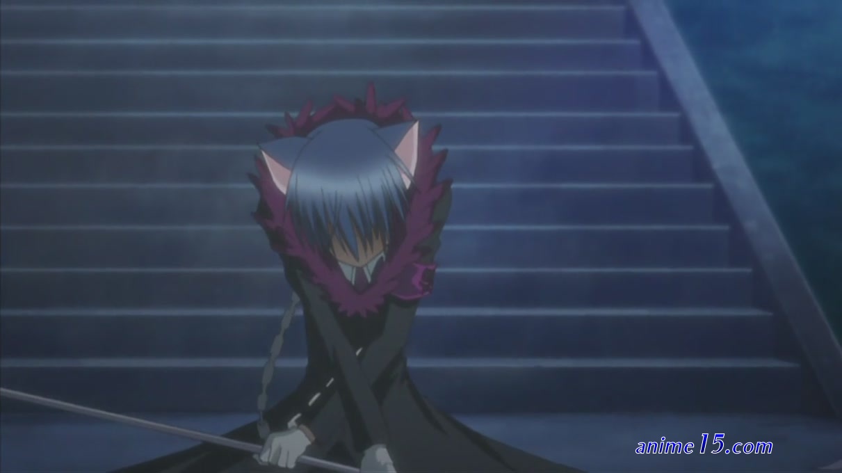 battle girl neko