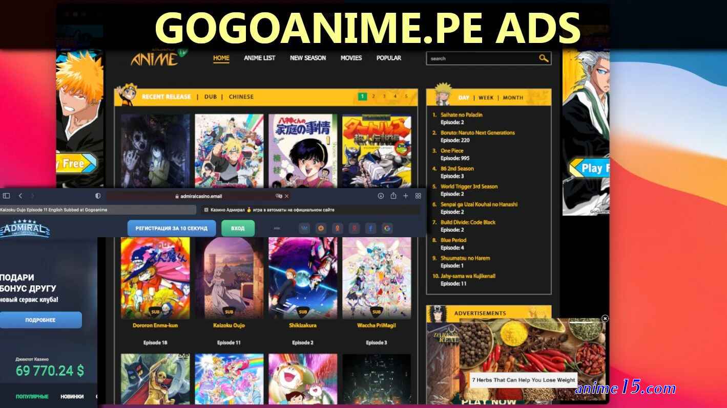one piece episode 995 gogoanime