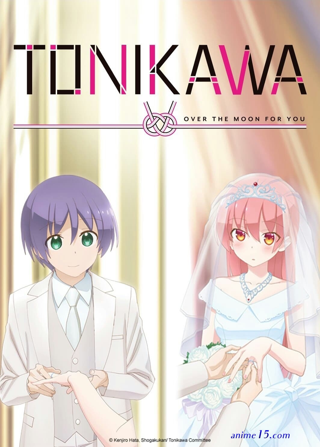 tonikaku kawaii dublado todos os episódios