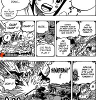 one piece 1011 vostfr