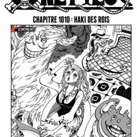 one piece 1011 vostfr