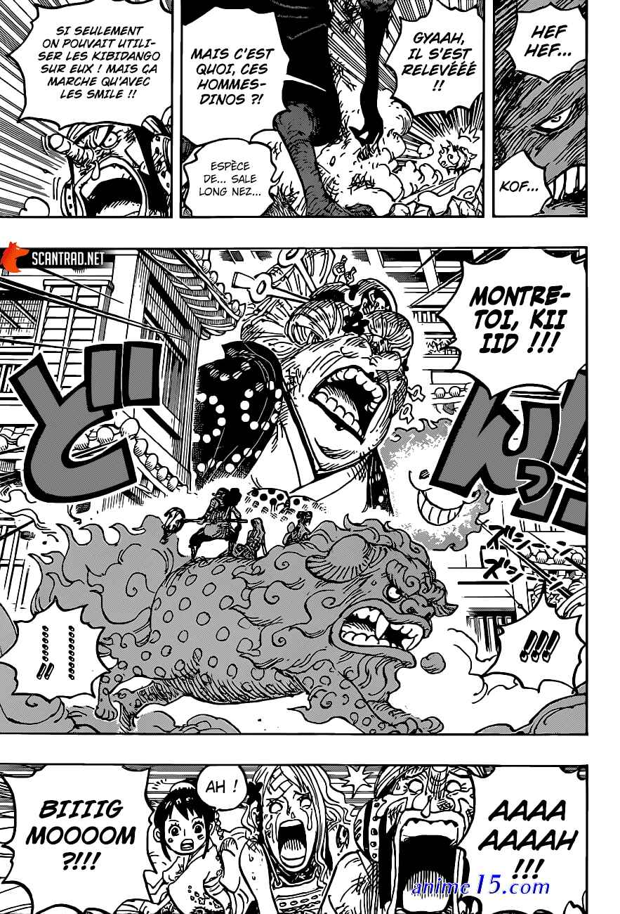 one piece 1011 vostfr