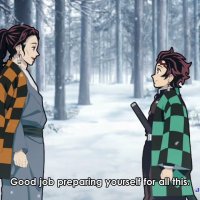 demon slayer 4anime