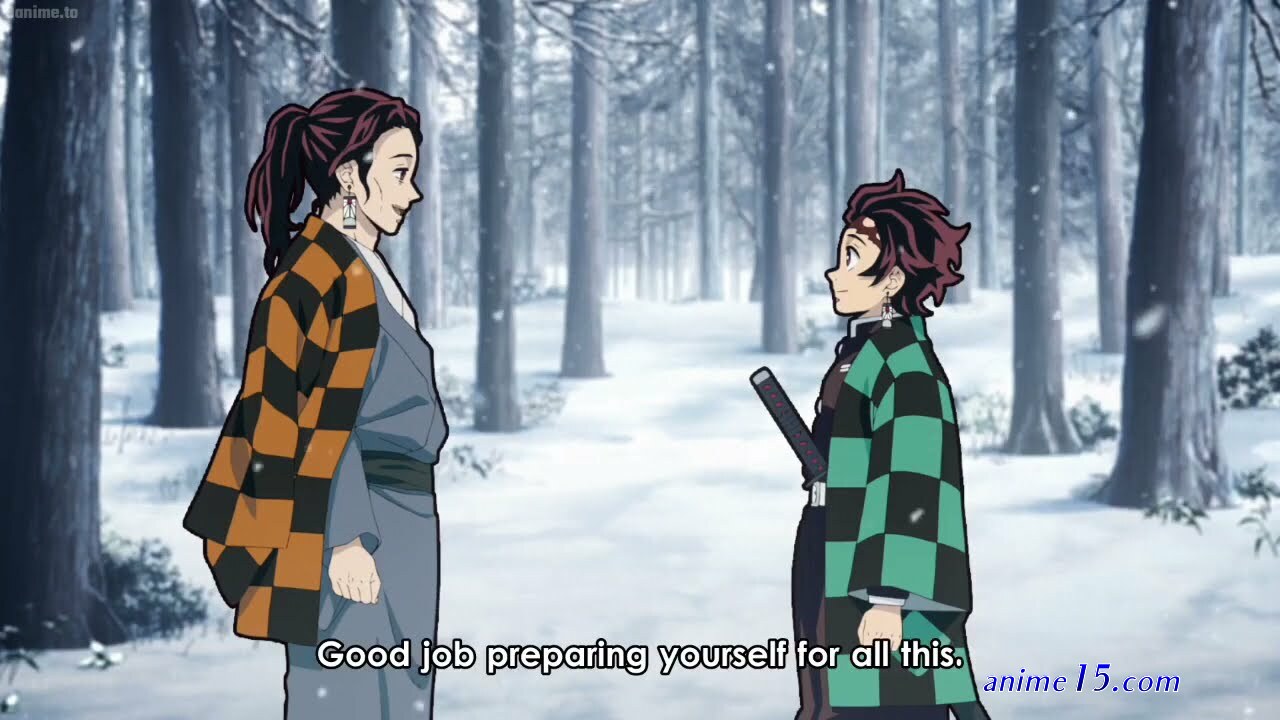 demon slayer 4anime