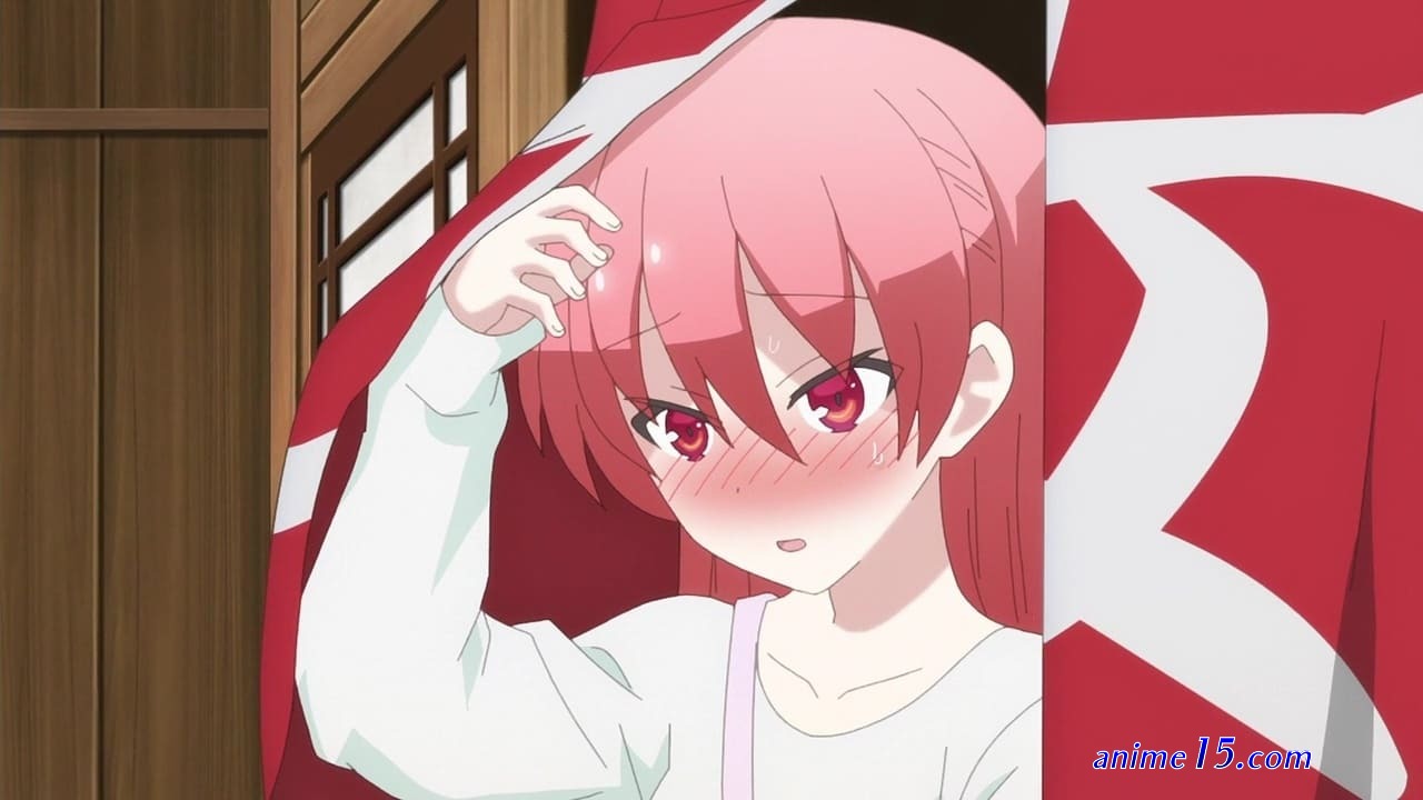 tonikaku kawaii dublado todos os episódios