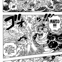 one piece 1011 vostfr