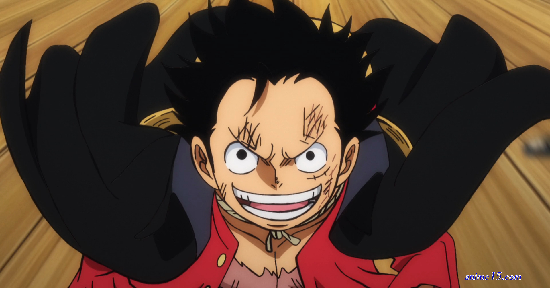 one piece streaming gratuit 1006