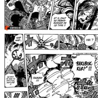 one piece 1011 vostfr
