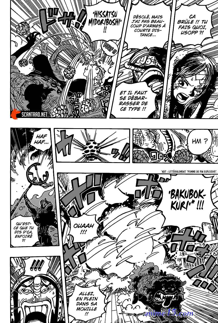one piece 1011 vostfr