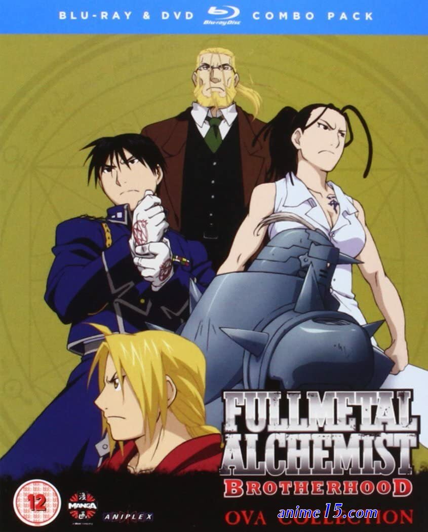 voiranime full metal brother wood