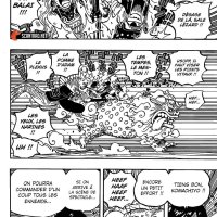 one piece 1011 vostfr