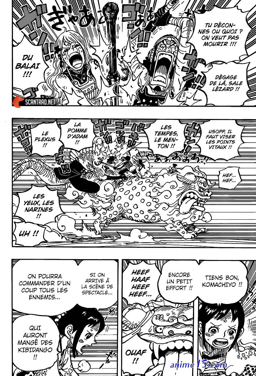 one piece 1011 vostfr