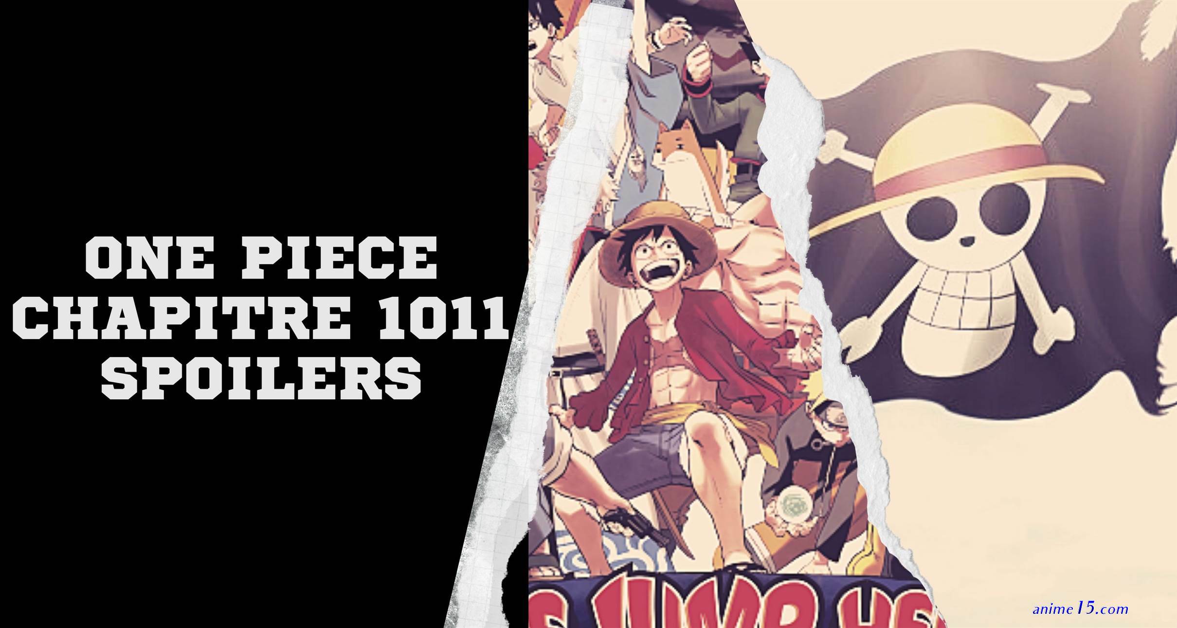 one piece 1011 vostfr