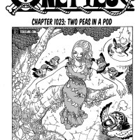 one piece 1011 vostfr