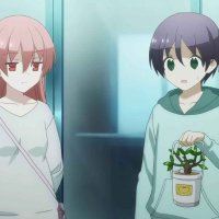 tonikaku kawaii dublado todos os episódios